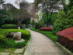 -神仙树公园