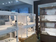 -翊宠yipet猫狗购宠庄园犬舍•猫舍