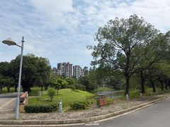 -东莞松山湖凯悦酒店
