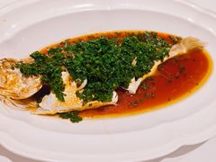 葱油蒸大黄鱼-福1088