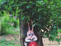 -欢乐松鼠谷