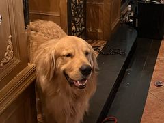 -火车头法国西餐厅