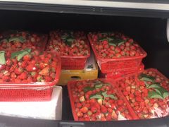 -双福水果批发市场