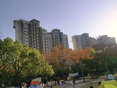 -新江湾城公园