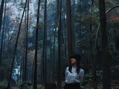 -凤栖山