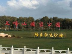 -彩色沙林风景区