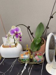 点击看大图 -杭州米兰柏羽医疗美容医院