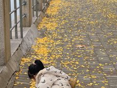 -浦江城市生活广场(江月路店)