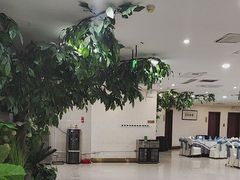 -库车国际酒店(火车站东湖公园店)
