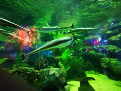 -海合安成都极地海洋公园