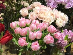 -植物学家的女儿(北马道巷店)