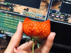 -哈尔信食品超市(哈尔滨王府井购物中心店)