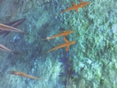 -上海长江河口科技馆