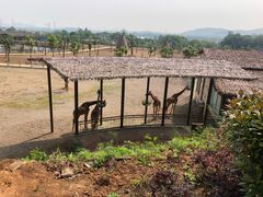 -大青山野生动物园