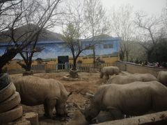 -西安秦岭野生动物园