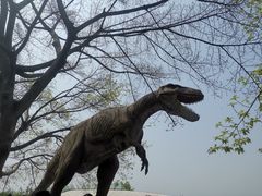 -自贡恐龙博物馆