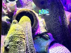 -太平洋海底世界