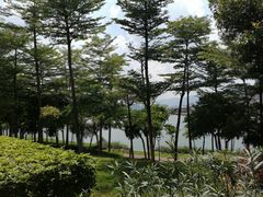 -灵玲国际马戏城
