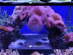 -南昌海洋公园