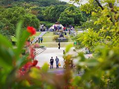 -吴淞炮台湾湿地森林公园烧烤区