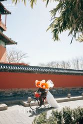 -北遇映画PHOTO GRAPHY STUDIO