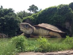 iphone_upload_pic-湖光岩风景区