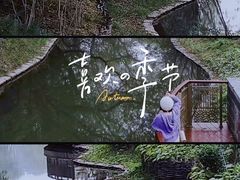 -北坞公园