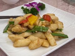 -璞正元酒楼·粤菜·早茶(大朗店)