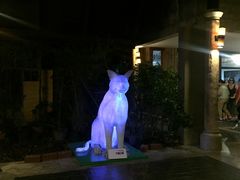 -清迈夜间动物园