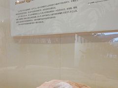 -衢州市博物馆