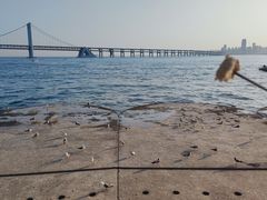 -星海广场