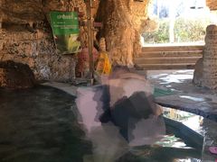 -仁爱团泊湖温泉中心