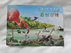 -广州长隆飞鸟乐园