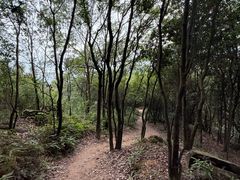 -石峰岩寺