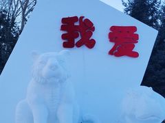 -长春公园(普阳街道)