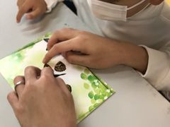 -上海昆虫博物馆