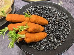 -丁老爷子苏香圆