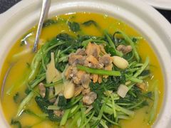 上汤鸡毛菜-王庄阿咪海鲜大排档(象园店)