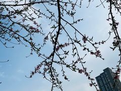 -重庆彩云湖湿地公园