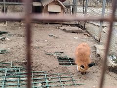 -河北村民俗体验园