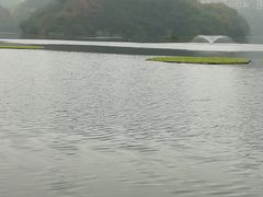 -重庆彩云湖湿地公园