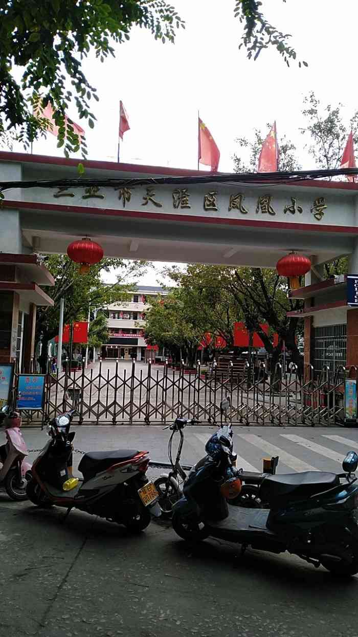 凤凰小学-"每一次来都会在早上听到他们学校李洪亮的早.