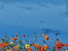 -东钱湖旅游度假区