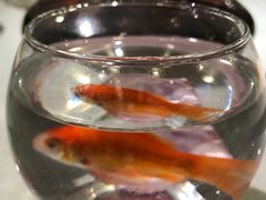 -徐记私厨(半淞园路店)