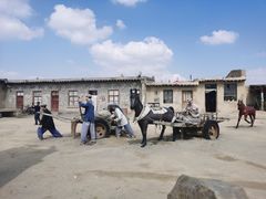 -镇北堡西部影城