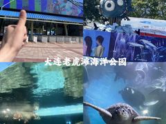 -大连老虎滩海洋公园
