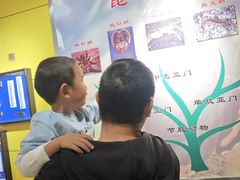 -上海昆虫博物馆