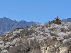 -白水寺森林公园
