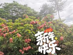-中国科学院西双版纳热带植物园