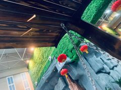 -兴芮温泉度假区